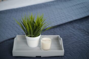 Bryan House Student Accommodation - Decorative Plant and Candle